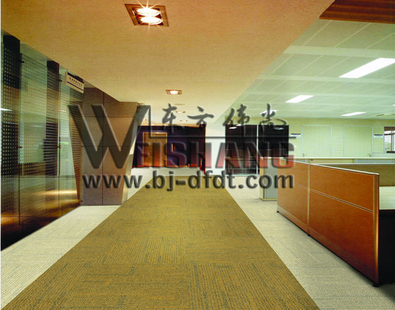 办公地毯BG-6509